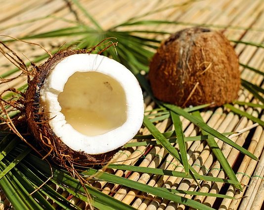 Olio di cocco: quali sono le sue proprietà cosmetiche?